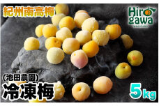 冷凍 梅 5kg 家庭用 / 南高梅 訳あり 黄梅 完熟梅 梅ジュース 梅酒 和歌山 ※7月上旬より翌年3月末まで順次発送 ※北海道・沖縄・離島への配送不可 【ikd510-c-5A】