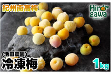 冷凍 梅 1kg 家庭用 / 南高梅 訳あり 黄梅 完熟梅 梅ジュース 梅酒 和歌山 ※7月上旬より翌年3月末まで順次発送 ※北海道・沖縄・離島への配送不可 【ikd510-c-1B】