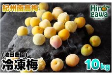 冷凍 梅 10kg 家庭用 / 南高梅 訳あり 黄梅 完熟梅 梅ジュース 梅酒 和歌山 ※7月上旬より翌年3月末まで順次発送 ※北海道・沖縄・離島への配送不可 【ikd510-c-10A】