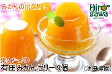 有田 みかんゼリー 9個 果肉たっぷり / 温州みかん ゼリー 柑橘 和歌山 ※北海道・沖縄・離島への配送不可 【ikd101-mik-9】