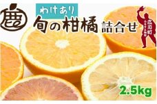 柑橘 詰合せ 2.5kg+250g 訳あり 光センサー / みかん 不知火 清見 八朔 伊予間 セミノール レモン ３種類以上 詰め合わせ 晩柑 ※1月上旬〜6月上旬に順次発送 ※北海道・沖縄・離島への配送不可【ikd049-c-2d5A】