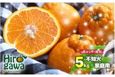 不知火 （ しらぬい ） 訳あり 5kg サイズ混合 光センサー / デコポン  家庭用 甘い 和歌山 柑橘 ※2月中旬～4月中旬に順次発送予定 ※北海道・沖縄・離島への配送不可 【nuk010-c-5】