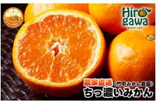 ちっ濃い 有田みかん 5kg （小玉 2S～3S） 10000円 ※11月上旬～12月下旬に順次発送予定 / みかん ちっちゃい 早生 柑橘 果物 フルーツ くだもの 果実  【tkn005-s-5】