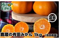 鹿蔵の 有田 みかん 訳あり 1kg 光センサー 選果 / 温州みかん 有田みかん 甘い 家庭用 和歌山 柑橘 ※11月順次発送予定 ※北海道・沖縄・離島への配送不可【ikd004-cm-1-nov】