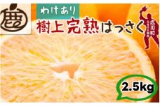 樹上 完熟 はっさく 2.5kg+250g 家庭用 光センサー / 八朔 訳あり 木なり 甘い 和歌山 有田 柑橘 ※4月上旬〜5月上旬に順次発送 ※北海道・沖縄・離島への配送不可 【ikd022-c-2d5】