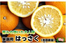 はっさく 5kg+250g（痛み補償分） 家庭用 光センサー / 八朔 訳あり 甘い 和歌山 有田 柑橘 ※1月上旬〜4月上旬頃に順次発送予定 ※北海道・沖縄・離島への配送不可 【ikd021-c-5】