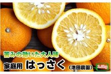 はっさく 2.5kg+250g（痛み補償分） 家庭用 光センサー / 八朔 訳あり 甘い 和歌山 有田 柑橘 ※1月上旬〜4月上旬頃に順次発送予定 ※北海道・沖縄・離島への配送不可 【ikd021-c-2d5】