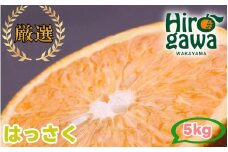 はっさく 5kg+250g（痛み補償分） 厳選 光センサー / 八朔 高級 甘い 和歌山 有田 柑橘 ※1月上旬〜4月上旬頃に順次発送予定 ※北海道・沖縄・離島への配送不可 【ikd021-p-5A】