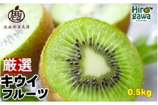 キウイ 厳選 0.5kg+250g（痛み補償分） / キウイフルーツ 高級 和歌山 ※2025年11月中旬～2026年6月中旬に順次発送 ※北海道・沖縄・離島への配送不可【ikd505-p-0d5】