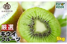 キウイ 厳選 5kg+250g（痛み補償分） / キウイフルーツ 高級 和歌山 ※2025年11月中旬～2026年6月中旬に順次発送 ※北海道・沖縄・離島への配送不可【ikd505-p-5B】