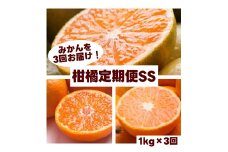 柑橘 定期便 SS【全3回】厳選【 和歌山県 有田 】 ※北海道・沖縄・離島への配送不可 / 定期便 フルーツ ゆら早生みかん 有田みかん 3回