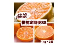 柑橘 定期便 SS【全3回】家庭用【 和歌山県 有田 】 ※北海道・沖縄・離島への配送不可 / 定期便 フルーツ ゆら早生みかん 有田みかん 3回