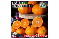 家庭用 有田 みかん 定期便 【2.5kg×3回】 / 温州みかん 有田みかん 甘い 訳あり 和歌山 有田 2.5kg ※北海道・沖縄・離島への配送不可