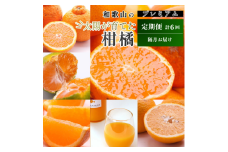 【偶数月】柑橘 定期便 S【全6回】【和歌山】 ※北海道・沖縄・離島への配送不可 / 定期便 フルーツ はっさく せとか 不知火 清見オレンジ カラマンダリン みかんゼリー ハウスみかん ゆら早生 有田みかん 6回 //teiki