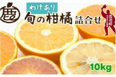 柑橘 詰合せ 10kg+250g 訳あり 光センサー / みかん 不知火 清見 八朔 伊予間 セミノール レモン ３種類以上 詰め合わせ 晩柑 ※1月上旬〜6月上旬に順次発送 ※北海道・沖縄・離島への配送不可【ikd049-c-10A】