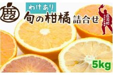 柑橘 詰合せ 5kg+250g 訳あり 光センサー / みかん 不知火 清見 八朔 伊予間 セミノール レモン ３種類以上 詰め合わせ 晩柑 ※1月上旬〜6月上旬に順次発送 ※北海道・沖縄・離島への配送不可【ikd049-c-5B】