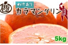 カラマンダリン 5kg+250g（痛み補償分） 家庭用 / カラ カラオレンジ カラみかん 南津海 なつみ 訳あり 和歌山 有田 柑橘 晩柑 ※4月上旬〜7月中旬に順次発送 ※北海道・沖縄・離島への配送不可 【ikd015-c-5C】