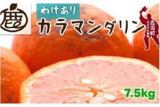 カラマンダリン 7.5kg+250g （痛み補償分） 家庭用 / カラ カラオレンジ カラみかん 南津海 なつみ 訳あり 和歌山 有田 柑橘 晩柑 ※4月上旬〜5月順次発送 ※北海道・沖縄・離島への配送不可 【ikd015-c-7d5A】
