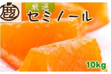 セミノール オレンジ 厳選 10kg+250g（痛み補償分） 光センサー / みかん 甘い 高級 柑橘 晩柑 和歌山 有田 ※4月上旬～6月下旬ごろに順次発送 ※北海道・沖縄・離島への配送不可 【ikd016-p-10】