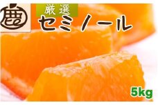セミノール オレンジ 厳選 5kg+250g（痛み補償分） 光センサー / みかん 甘い 高級 柑橘 晩柑 和歌山 有田 ※4月上旬～6月下旬ごろに順次発送 ※北海道・沖縄・離島への配送不可 【ikd016-p-5B】