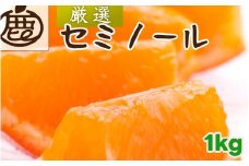 セミノール オレンジ 厳選 1kg+250g（痛み補償分） 光センサー / みかん 甘い 高級 柑橘 晩柑 和歌山 有田 ※4月上旬～6月下旬ごろに順次発送 ※北海道・沖縄・離島への配送不可 【ikd016-p-1】