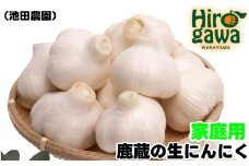 生 にんにく 1g 家庭用 / 生にんにく 国産 訳あり  ※5月上旬～5月下旬に順次発送 ※北海道・沖縄・離島への配送不可【ikd403-c-1】