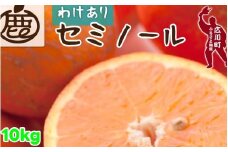 セミノール オレンジ 家庭用 10kg+250g（痛み補償分） 光センサー / みかん 甘い 訳あり 柑橘 晩柑 和歌山 有田 ※4月上旬～6月下旬ごろに順次発送 ※北海道・沖縄・離島への配送不可 【ikd016-c-10】
