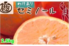 セミノール オレンジ 家庭用 2.5kg+250g（痛み補償分） 光センサー / みかん 甘い 訳あり 柑橘 晩柑 和歌山 有田 ※4月上旬～6月下旬ごろに順次発送 ※北海道・沖縄・離島への配送不可 【ikd016-c-2d5】