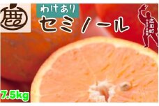 セミノール オレンジ 家庭用 7.5kg+250g（痛み補償分） 光センサー / みかん 甘い 訳あり 柑橘 晩柑 和歌山 有田 ※4月上旬～6月下旬ごろに順次発送 ※北海道・沖縄・離島への配送不可 【ikd016-c-7d5B】