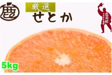 厳選 せとか 5kg+250g（痛み補償分） 光センサー / 高級 甘い 和歌山 柑橘 ※2月中旬～3月下旬頃発送 ※北海道・沖縄・離島への配送不可 【ikd014-p-5A】