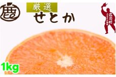 厳選 せとか 1kg+250g（痛み補償分） 光センサー / 高級 甘い 和歌山 柑橘 ※2月中旬～3月下旬頃発送 ※北海道・沖縄・離島への配送不可 【ikd014-p-1】