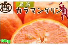 カラマンダリン 10kg+250g（痛み補償分） 厳選 / カラ カラオレンジ カラみかん 南津海 なつみ 高級 和歌山 有田 柑橘 晩柑 ※4月上旬～5月順次発送 ※北海道・沖縄・離島への配送不可 【ikd015-p-10】