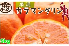 カラマンダリン 5kg+250g（痛み補償分） 厳選 / カラ カラオレンジ カラみかん 南津海 なつみ 高級 和歌山 有田 柑橘 晩柑 ※4月上旬～5月順次発送 ※北海道・沖縄・離島への配送不可 【ikd015-p-5B】