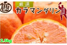 カラマンダリン 2.5kg+250g（痛み補償分） 厳選 / カラ カラオレンジ カラみかん 南津海 なつみ 高級 和歌山 有田 柑橘 晩柑 ※4月上旬～5月順次発送 ※北海道・沖縄・離島への配送不可 【ikd015-p-2d5A】