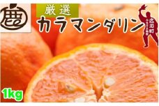 カラマンダリン 1kg+250g（痛み補償分） 厳選 / カラ カラオレンジ カラみかん 南津海 なつみ 高級 和歌山 有田 柑橘 晩柑 ※4月上旬～5月順次発送 ※北海道・沖縄・離島への配送不可 【ikd015-p-1】