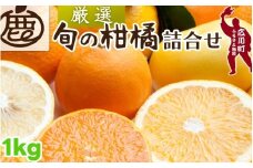 柑橘 詰合せ 1kg+250g（痛み補償分） 厳選 光センサー / 高級 みかん 不知火 清見 八朔 伊予間 セミノール レモン ３種類以上 詰め合わせ 晩柑 ※1月上旬～6月上旬頃に順次発送 ※北海道・沖縄・離島への配送不可 【ikd049-p-1A】