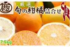 柑橘 詰合せ 7.5kg+250g（痛み補償分） 厳選 光センサー / 高級 みかん 不知火 清見 八朔 伊予間 セミノール レモン ３種類以上 詰め合わせ 晩柑 ※1月上旬～6月上旬頃に順次発送 ※北海道・沖縄・離島への配送不可 【ikd049-p-7d5A】