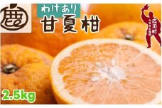 甘夏柑 家庭用 2.5kg+250g（痛み補償分） 光センサー / みかん 甘い 訳あり 柑橘 晩柑 和歌山 有田 ※4月上旬～6月下旬頃に順次発送 ※北海道・沖縄・離島への配送不可 【ikd023-c-2d5】