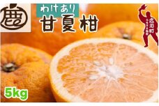 甘夏柑 家庭用 5kg+250g（痛み補償分） 光センサー / みかん 甘い 訳あり 柑橘 晩柑 和歌山 有田 ※4月上旬～6月下旬頃に順次発送 ※北海道・沖縄・離島への配送不可 【ikd023-c-5】
