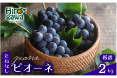 ピオーネ たねなし 2kg 厳選 / ぶどう 種無し 甘い 高級 和歌山 ※8月中旬～9月下旬に順次発送 ※北海道・沖縄・離島への配送不可 【tec511-p-2A】