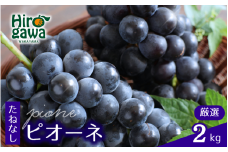 ピオーネ たねなし 2kg 厳選 / ぶどう 種無し 甘い 高級 和歌山 ※8月中旬～9月下旬に順次発送 ※北海道・沖縄・離島への配送不可 【tec511-p-2A】