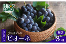 ピオーネ たねなし 3kg 厳選 / ぶどう 種無し 甘い 高級 和歌山 ※8月中旬～9月下旬に順次発送 ※北海道・沖縄・離島への配送不可 【tec511-p-3A】
