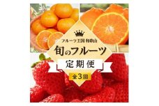 【全3回定期便】 フルーツ大国 和歌山 よりお届け！旬の フルーツ 定期便 B【田村みかん・まりひめ・紀州デコ】 / みかん いちご 甘い 定期便 ※離島配送不可