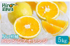 バレンシアオレンジ 家庭用 5kg+250g(痛み補償分) / みかん オレンジ 甘い 高級 和歌山 柑橘 ※7月中旬頃〜8月下旬頃 に順次発送 ※北海道・沖縄・離島への配送不可 【ikd027-c-5】
