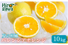 バレンシアオレンジ 家庭用 10kg+250g(痛み補償分) / みかん オレンジ 甘い 高級 和歌山 柑橘 ※7月中旬頃〜8月下旬頃 に順次発送 ※北海道・沖縄・離島への配送不可 【ikd027-c-10】