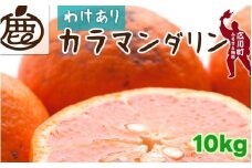 カラマンダリン 10kg+250g （痛み補償分） 家庭用 / カラ カラオレンジ カラみかん 南津海 なつみ 訳あり 和歌山 有田 柑橘 晩柑 ※4月上旬〜5月順次発送 ※北海道・沖縄・離島への配送不可 【ikd015-c-10】