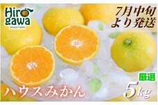 ハウスみかん 5kg+250g(傷み補償) 厳選 / 温室みかん 有田みかん 甘い 和歌山 柑橘 ※7月中旬～8月下旬に順次発送 ※北海道・沖縄・離島への配送不可 【ikd002-p-5】