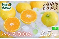 ハウスみかん 2.5kg+250g(傷み補償) 厳選 / 温室みかん 有田みかん 甘い 和歌山 柑橘 ※7月中旬～8月下旬に順次発送 ※北海道・沖縄・離島への配送不可 【ikd002-p-2d5】