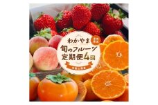 わかやま 旬の フルーツ 定期便 全4回 / 有田みかん まりひめ いちご 桃 柿 ※北海道・沖縄・離島への配送不可 【ard050-lf4A】
