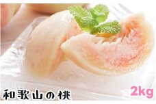 【夏の美味】 【和歌山ブランド】 フルーツ王国 和歌山の 桃 6～9玉入り（約2kg） 品種おまかせ / 桃 もも フルーツ くだもの 果物 果実 お中元 お供え お盆 和歌山 ※北海道・沖縄・その他離島への配送不可 ※2026年6月中旬～7月下旬に順次発送予定 【ard501-r-2A】
